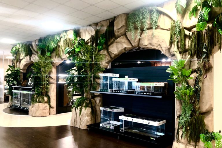 Realizzazione dell'allestimento scenografico del rettilario